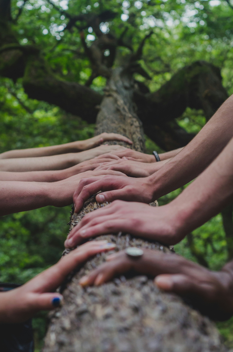Give Now
